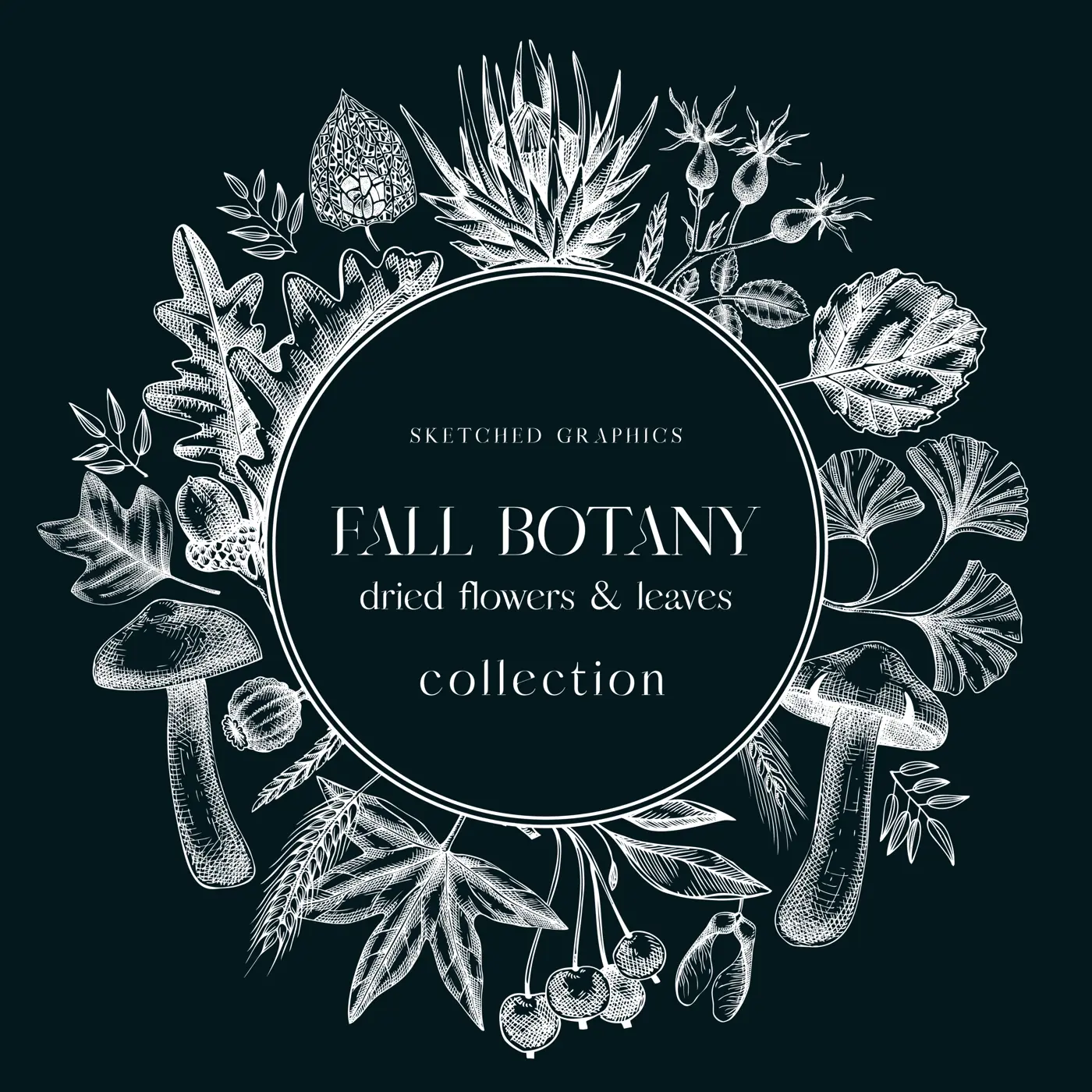 Autumn wreath with fall leaves and dried flowers. Thanksgiving banner design. Card or invitation on chalkboard. Sketched dried herbs, falling leaves, mushrooms, seeds. Black and white illustration.  Illustration